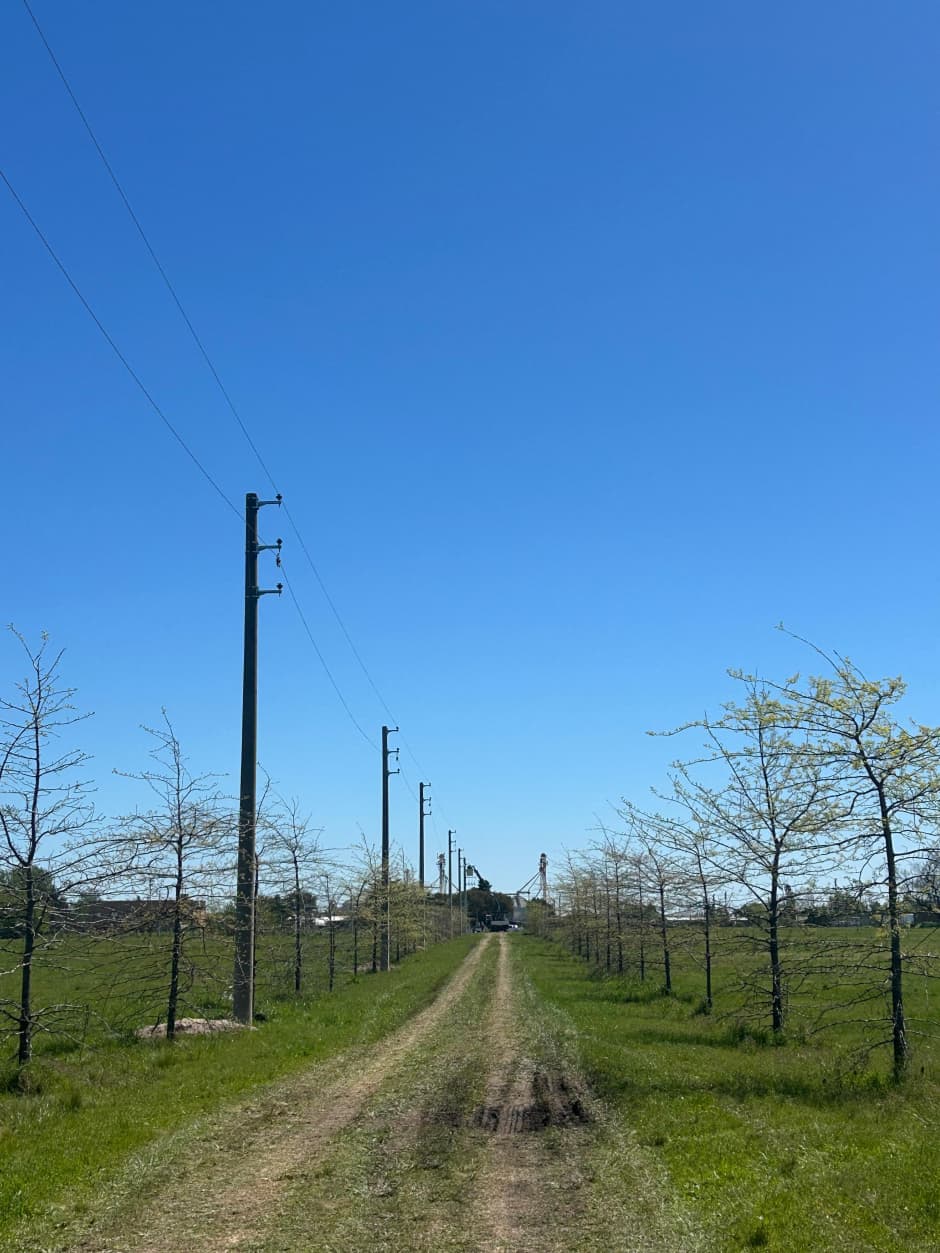 Nueva extensión de red eléctrica para nuevos loteos en zona urbana